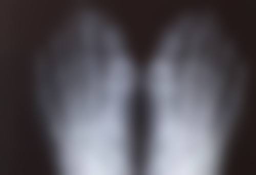 TCB 旭川口碑怎么样：顾客的真实评价