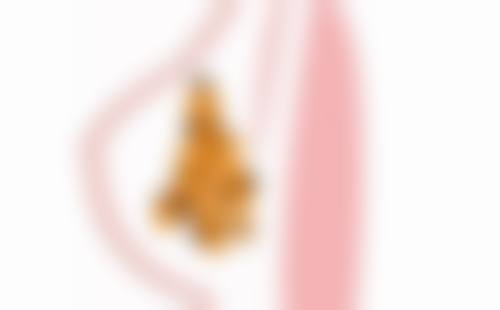 TCB 旭川价格表：透明合理