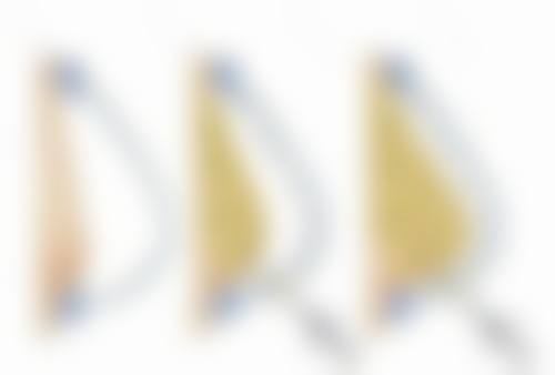 李志敏医生的中医针灸荣誉资质