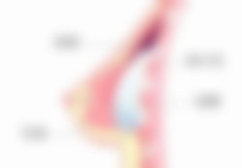 金英杓医生的荣誉资质