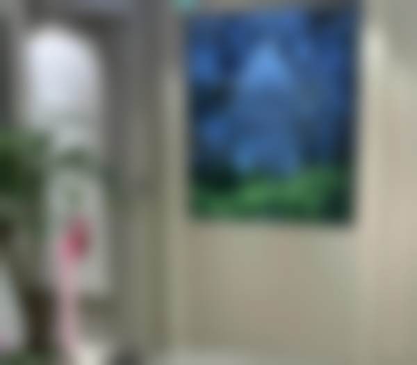 韩国DIAV帝雅皮肤科医生名单