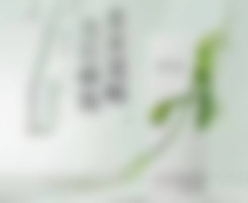 赵延峰医生荣誉资质