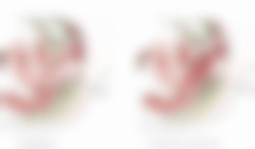 郑旻祐医生执业信息：专精有保护