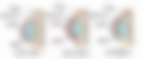 陈博医生的看诊优势