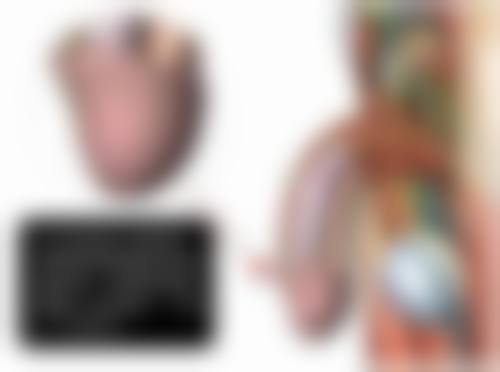 柳垣在医生的坐诊医院