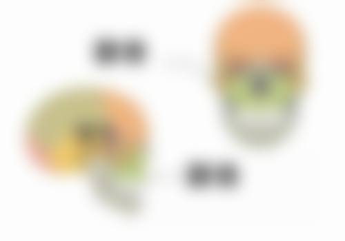 柳圣贤医生荣誉资质：实力的象征