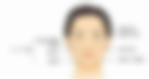 辛在民院长的荣誉资质