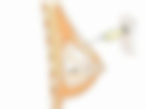 吴美容医生荣誉资质