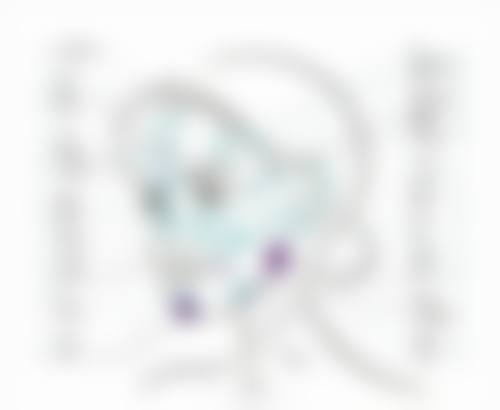 李凤华超声科医生技术特点