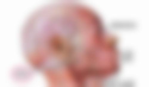 隆胸后同房时间与个人体质有关吗
