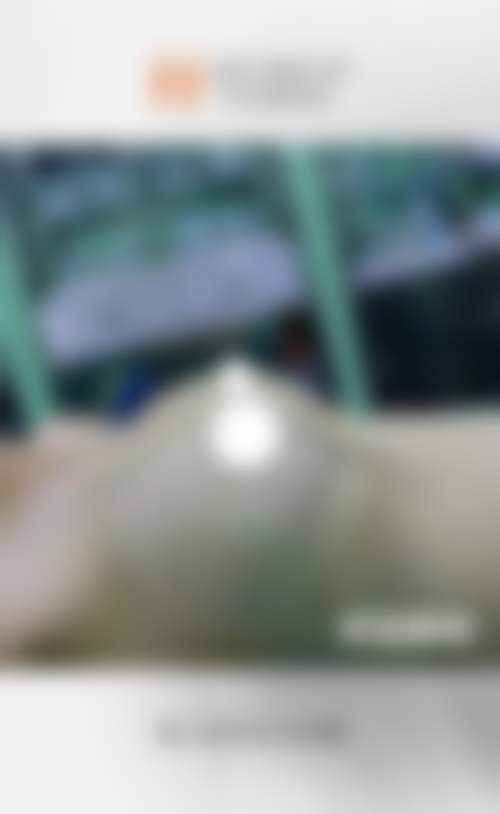 赖炳文医生看诊优势:个性化服务体验