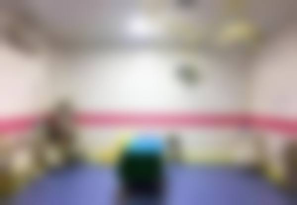 李云飞医生荣誉资质