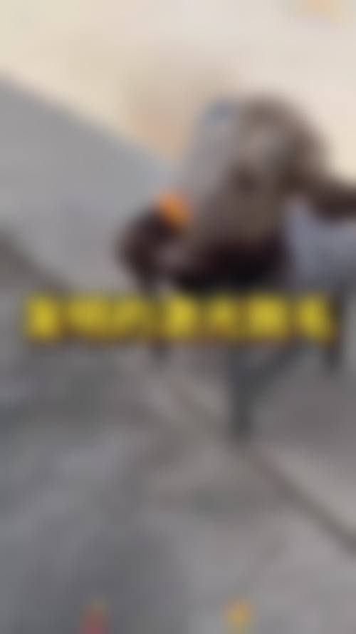 weshe整形外科地址及乘车路线：轻松找到变得更美之地