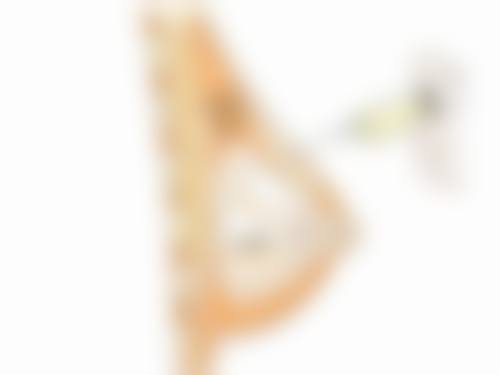 贺五洲医生真实实例