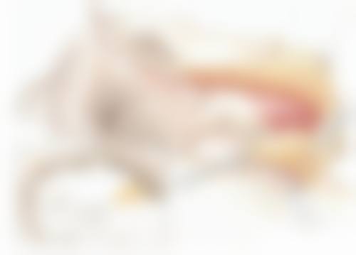 头发没有种植头发后要注意什么