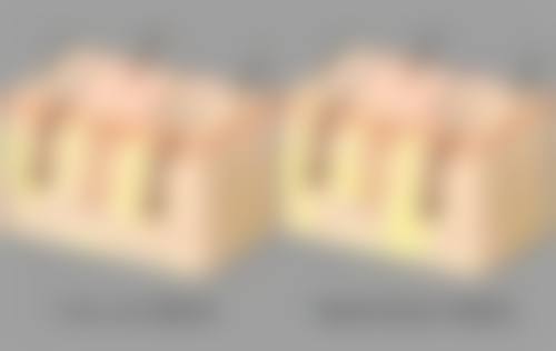 宋英兰院长的技术特点