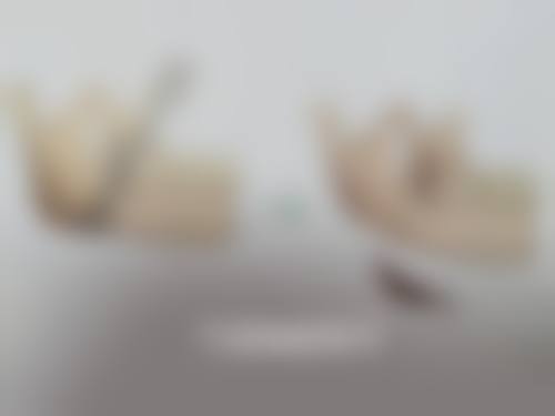 陈新平技术特点