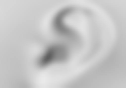 黑龙江中 医 药大学附属第二医院美容科执业信息