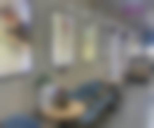 宋学峰治疗风格与美学理念分析