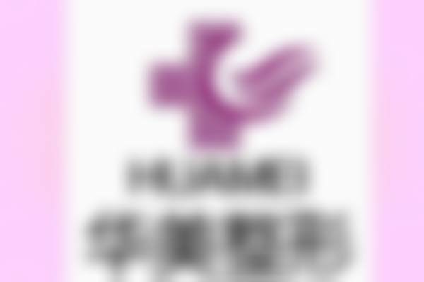 总结:为何选择王慧瑛是明智之举